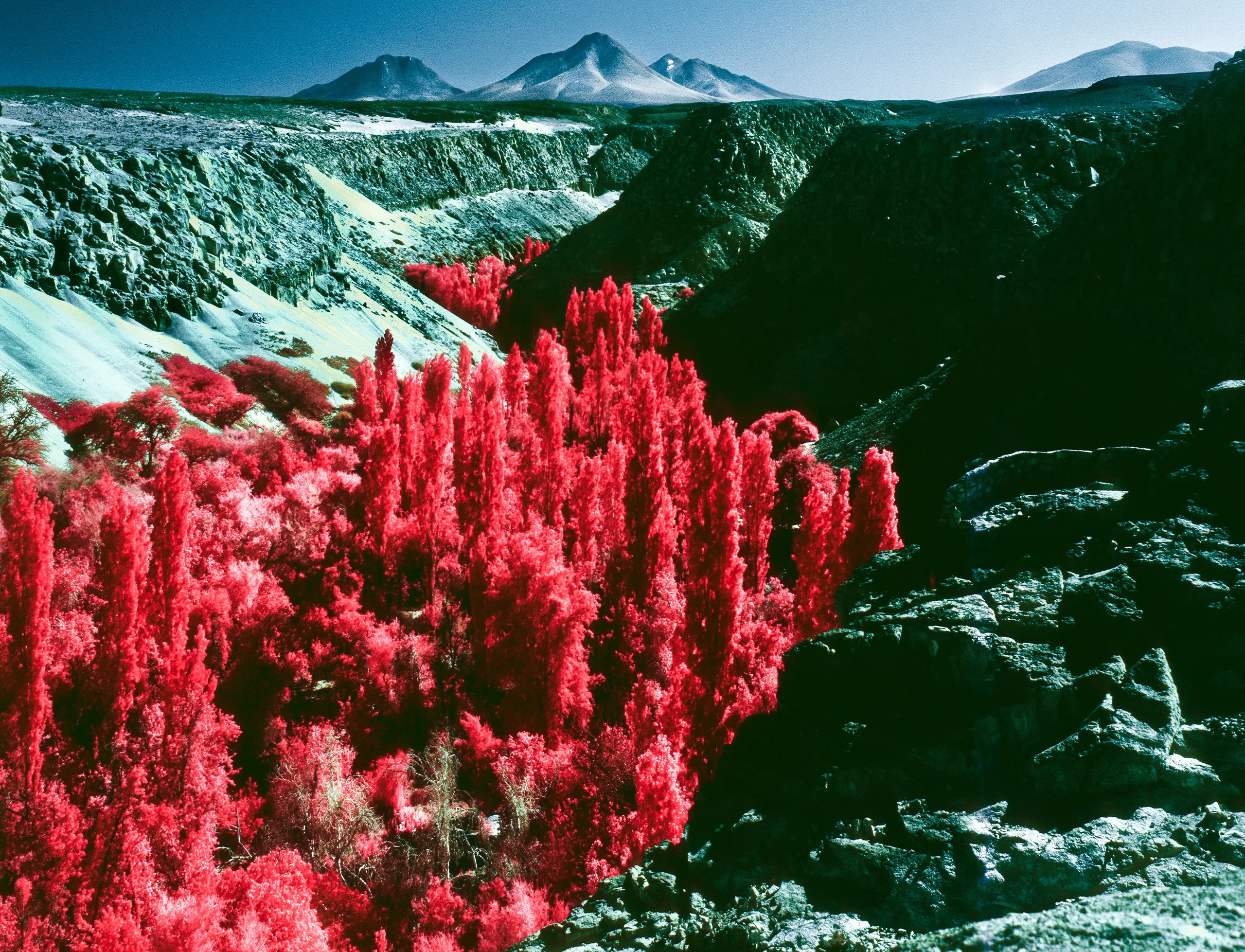 Atacama