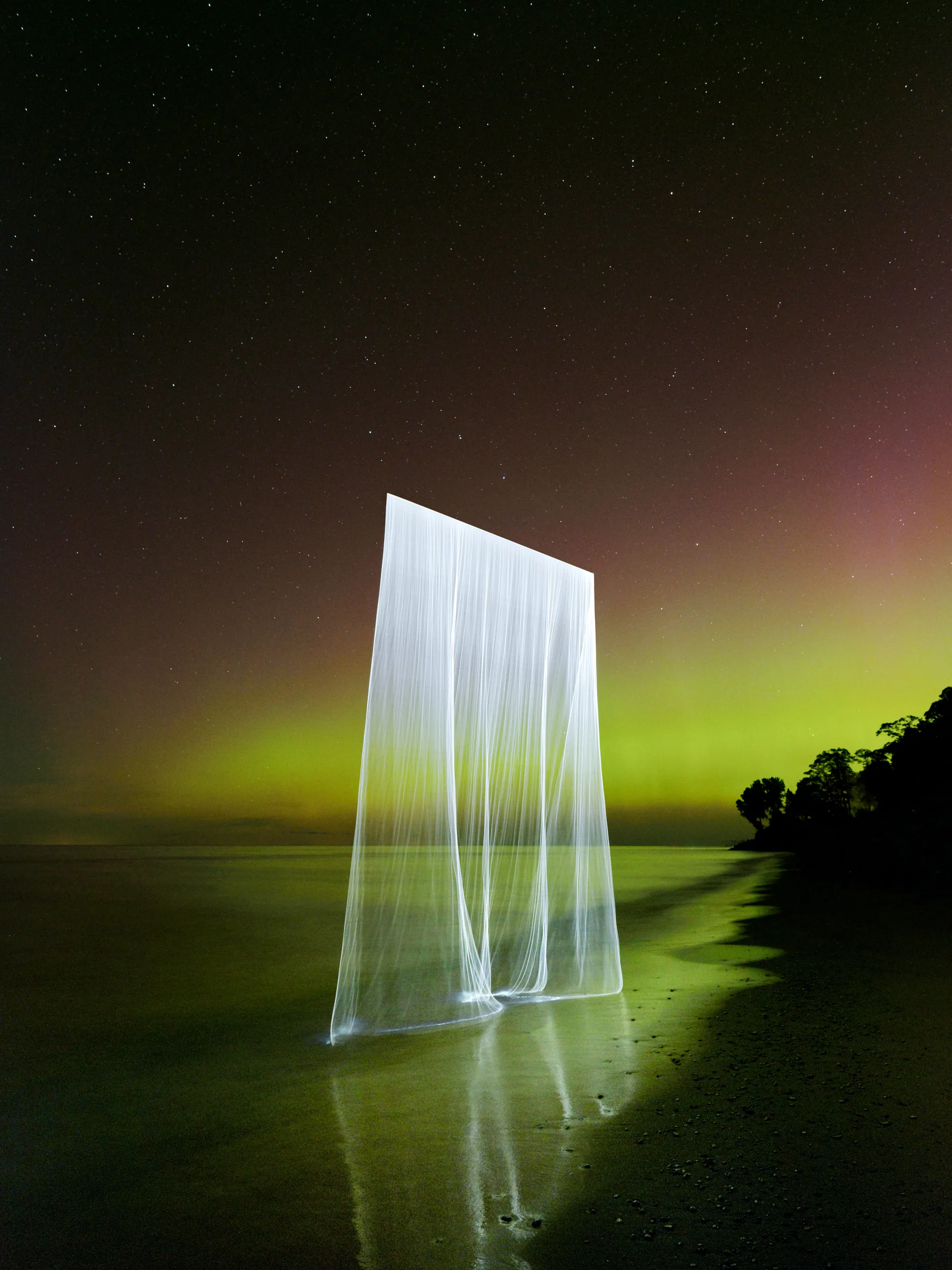 Siren